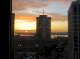 IMG_2425.jpeg