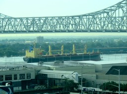 IMG_2431.jpeg