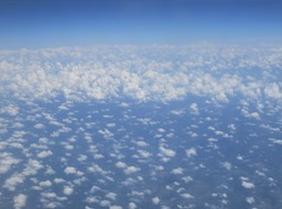 IMG_2455.jpeg