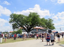 IMG_9857